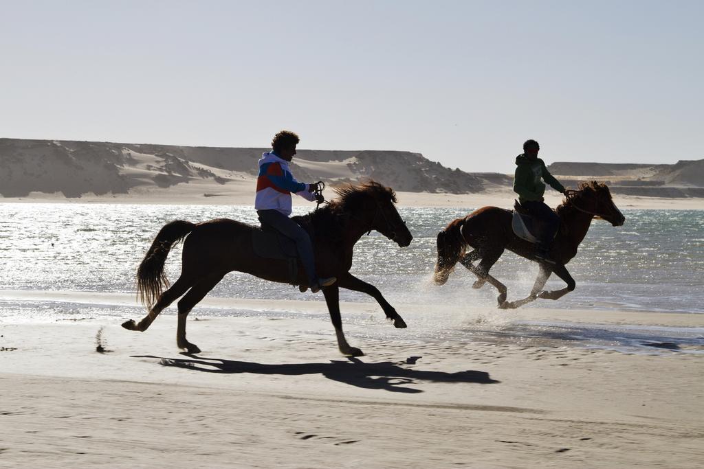Dakhla Evasion酒店 外观 照片